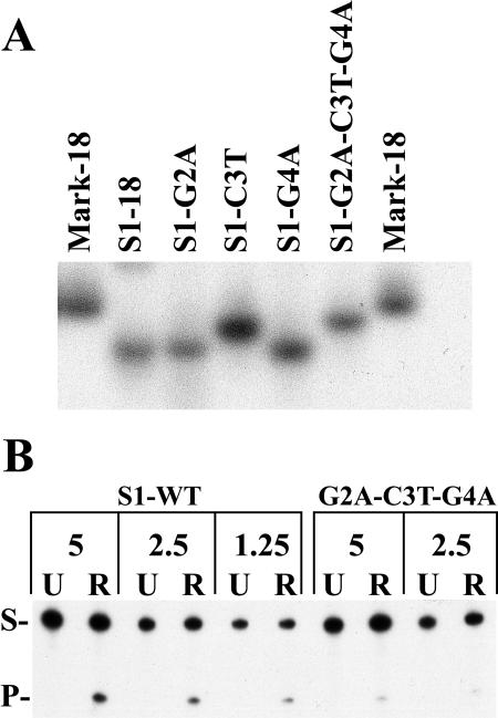 FIG. 9.