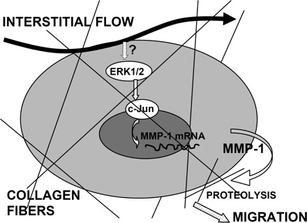 Fig. 9.