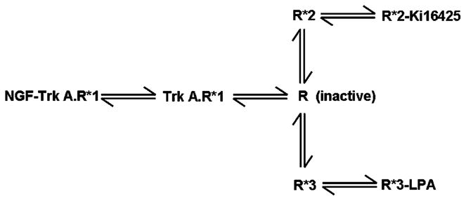 Scheme 3