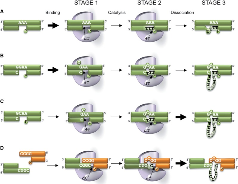 Figure 6.