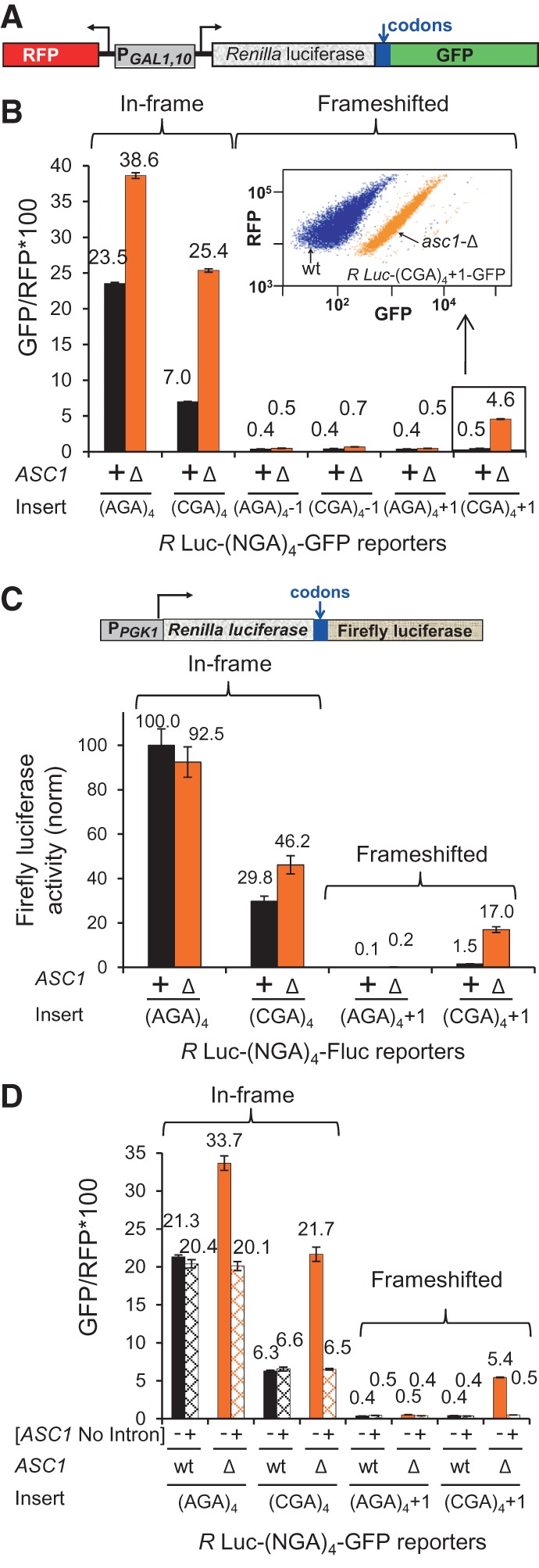 FIGURE 1.