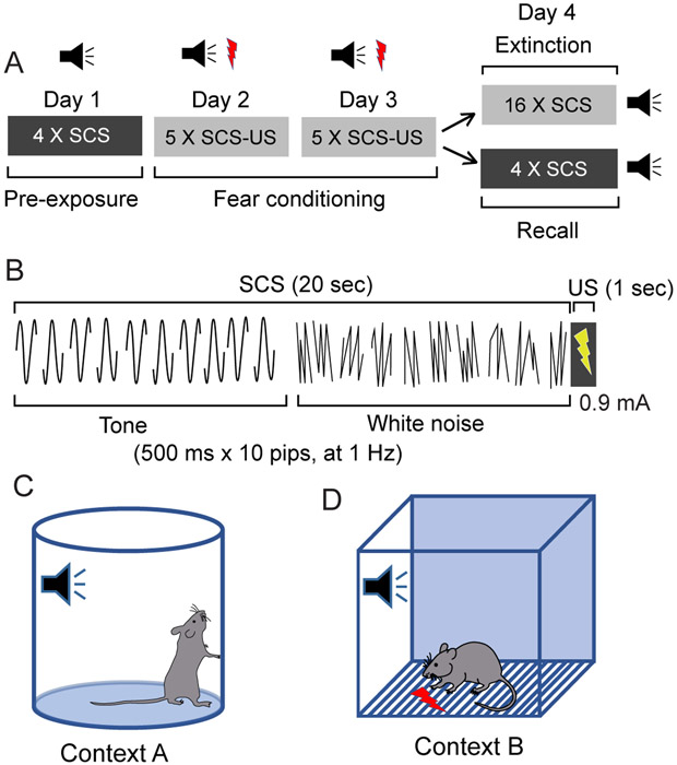 Figure 1: