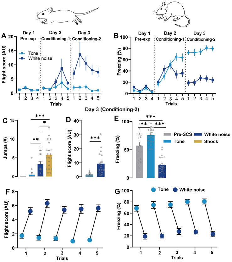 Figure 2: