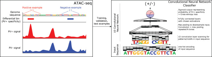 Figure 1—figure supplement 3.