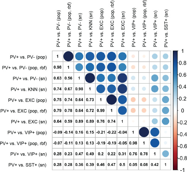 Figure 1—figure supplement 4.