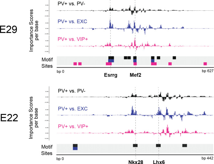 Figure 1—figure supplement 6.