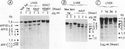 graphic file with name pnas00273-0036-a.jpg