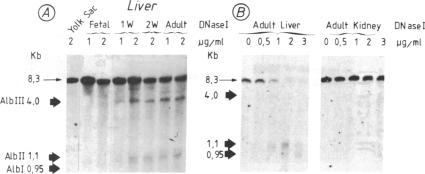 graphic file with name pnas00273-0035-a.jpg