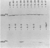 2810