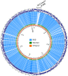 FIG 2