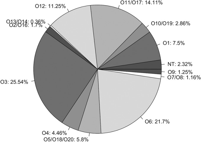 FIG 2