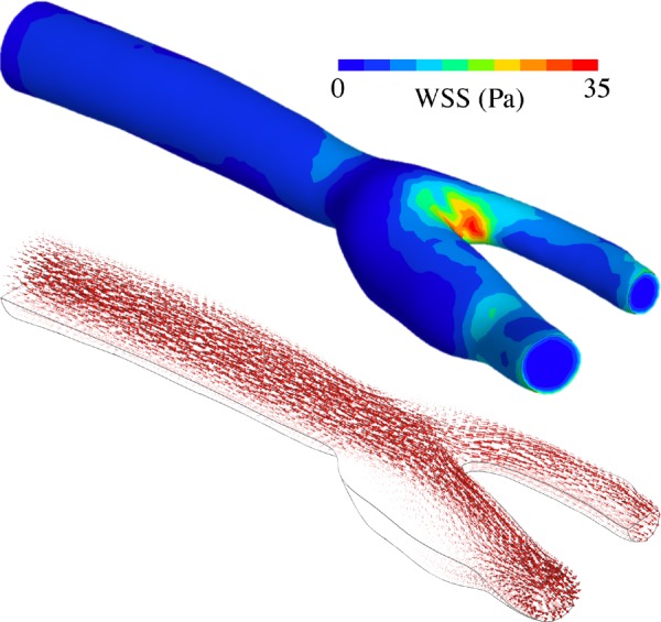 Fig. 8