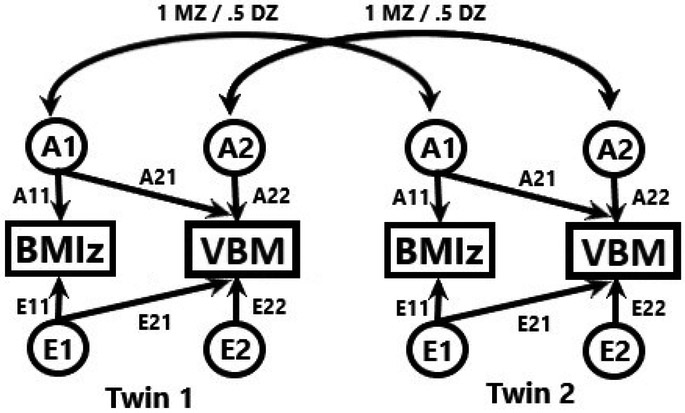 Figure 1: