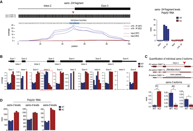 Figure 2