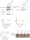 Extended Data Fig. 5 |