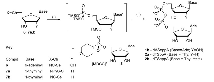 Scheme 1