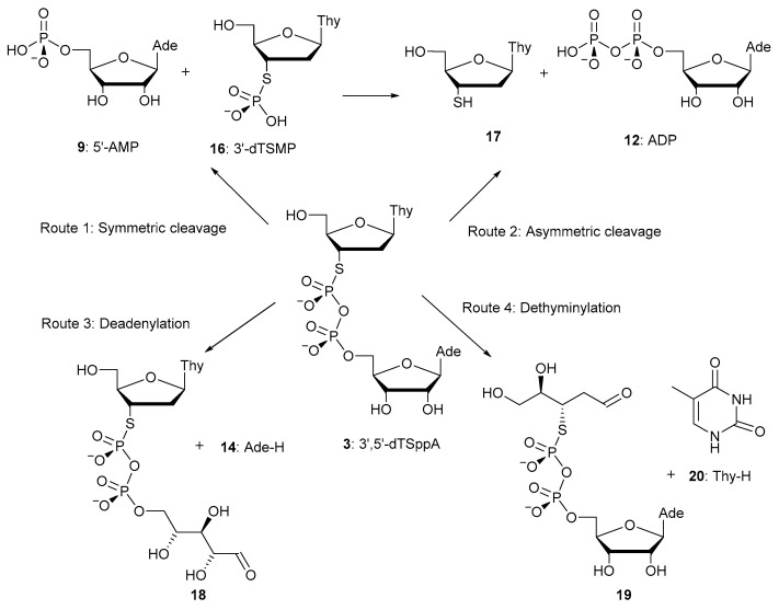 Scheme 3