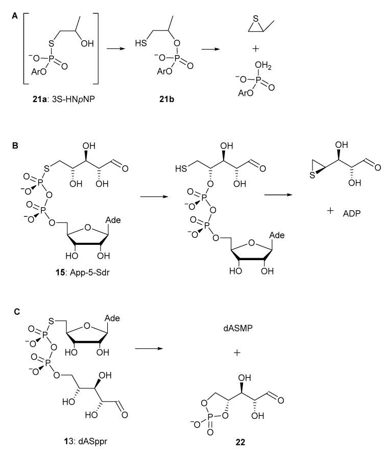 Scheme 4