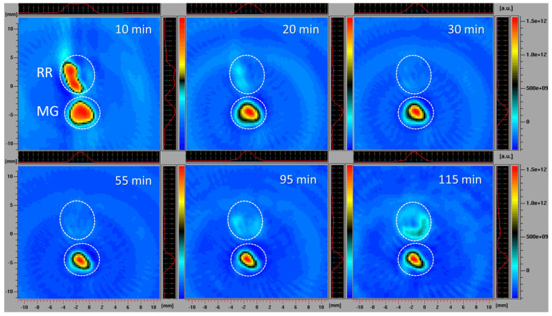 Figure 6