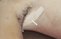 Fig. 3.