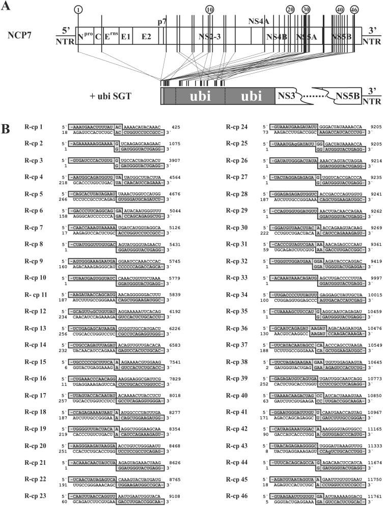 FIG.2.