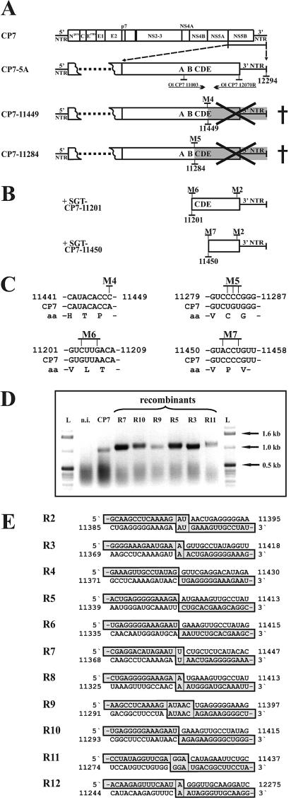 FIG.7.