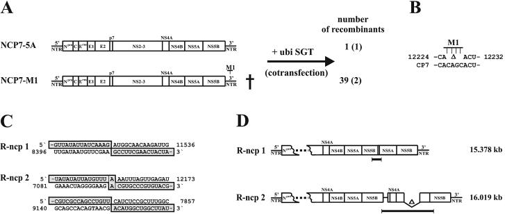 FIG. 4.