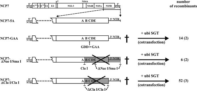 FIG. 6.