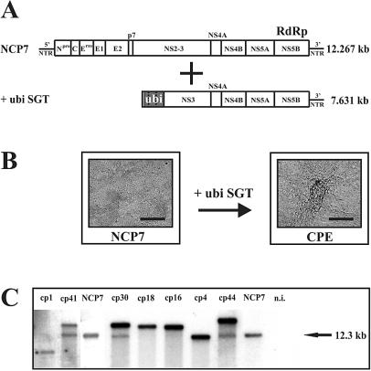 FIG. 1.