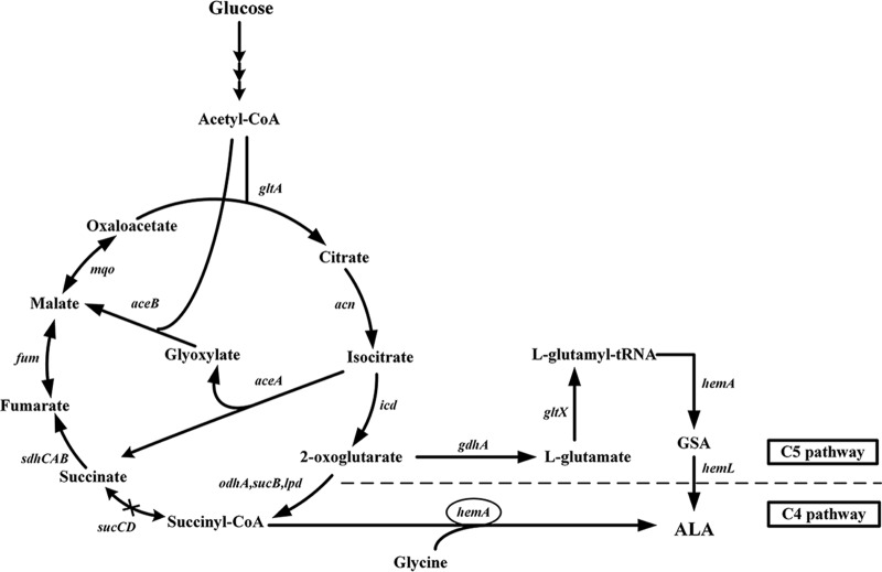 FIG 1