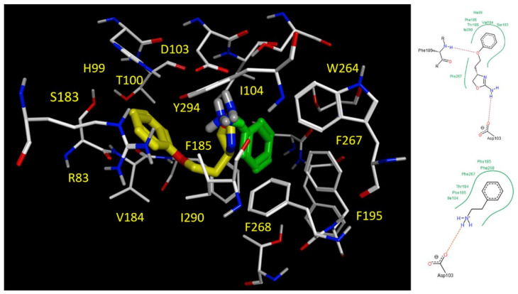 Figure 10