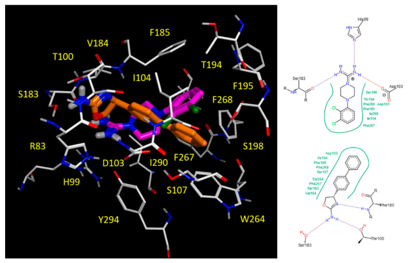 Figure 13