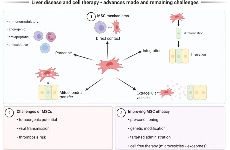 Graphical Abstract