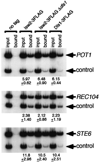 FIG. 5.