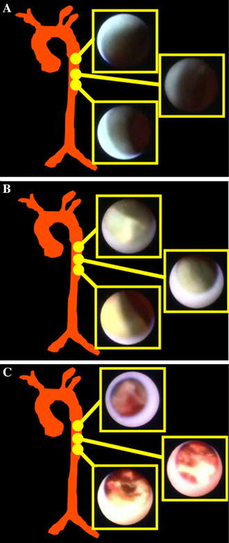 Fig. 1