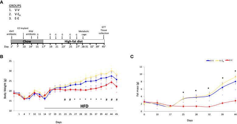 Figure 2