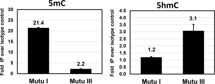 FIG 5