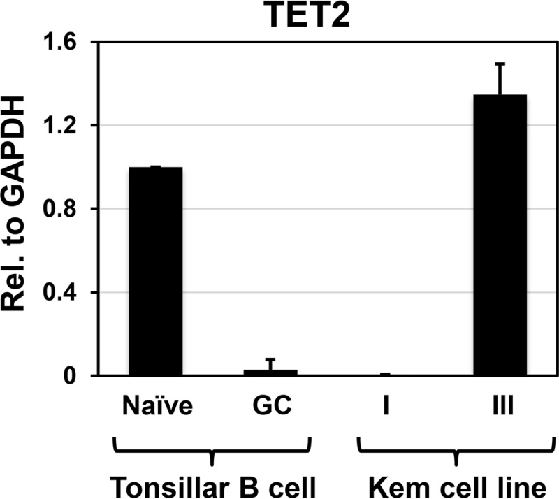 FIG 3