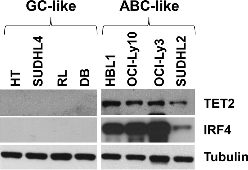 FIG 2