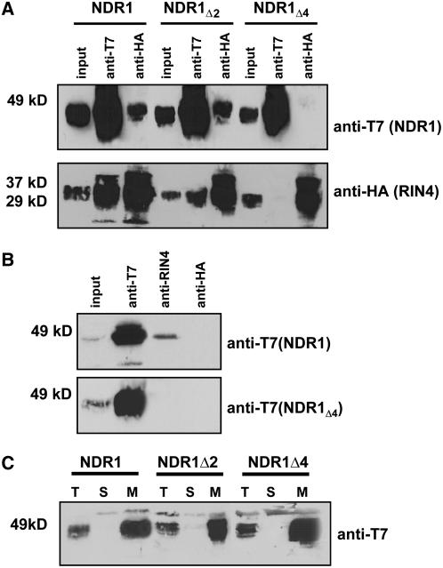 Figure 5.