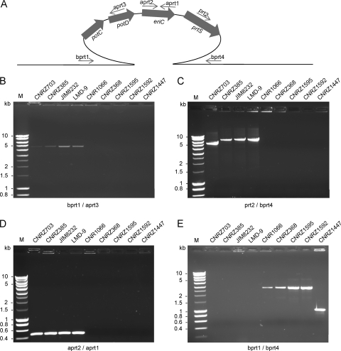 FIG. 4.