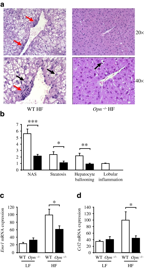 Fig. 6