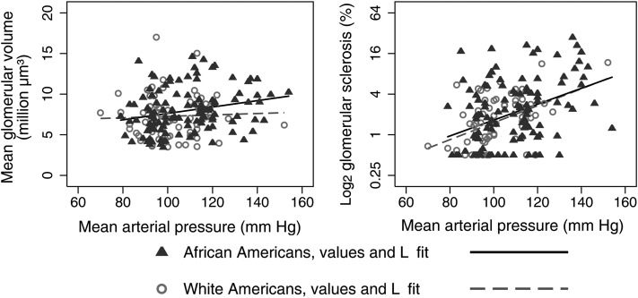 FIGURE 5: