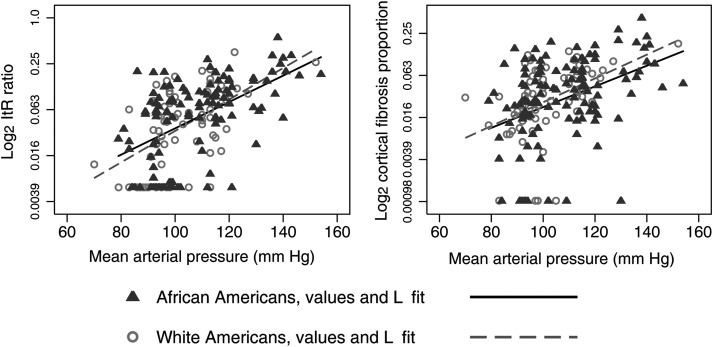 FIGURE 6: