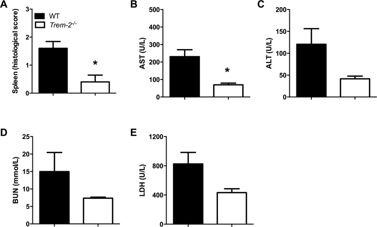 Fig 4