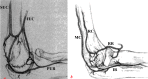 Fig. (3)