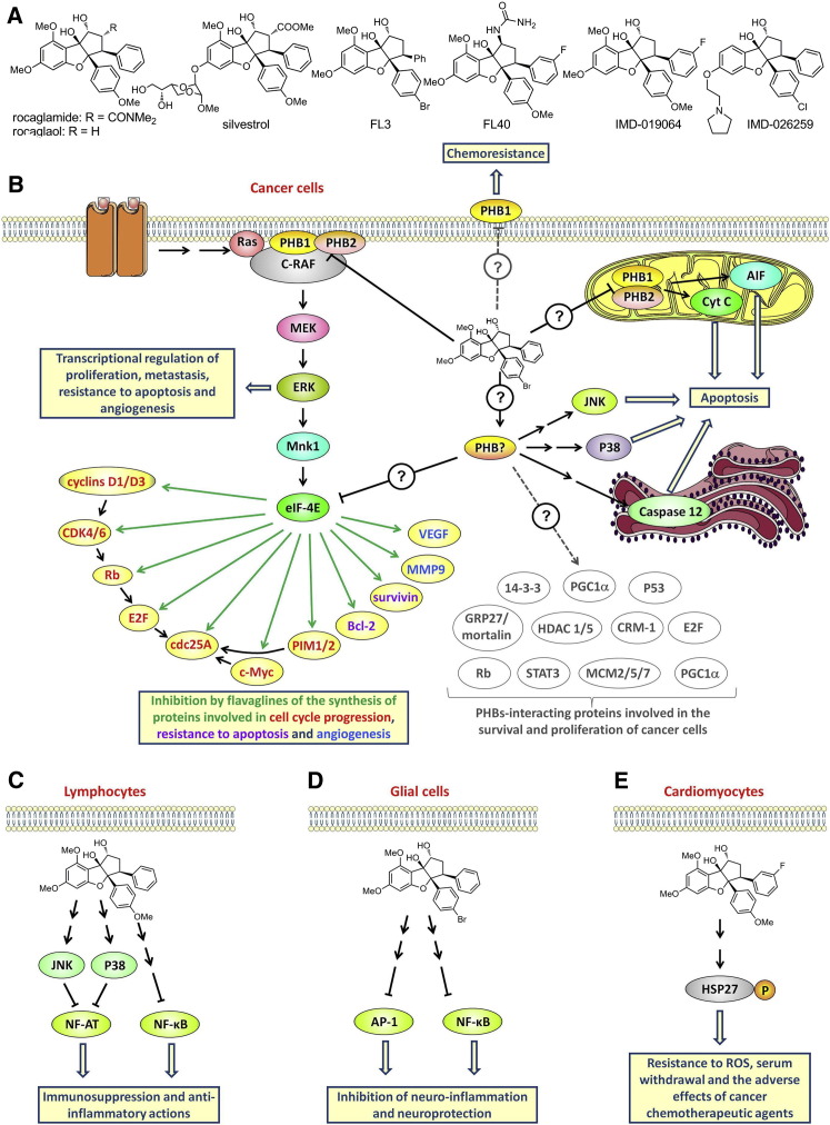 Figure 3