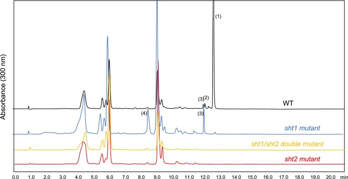 Figure 2