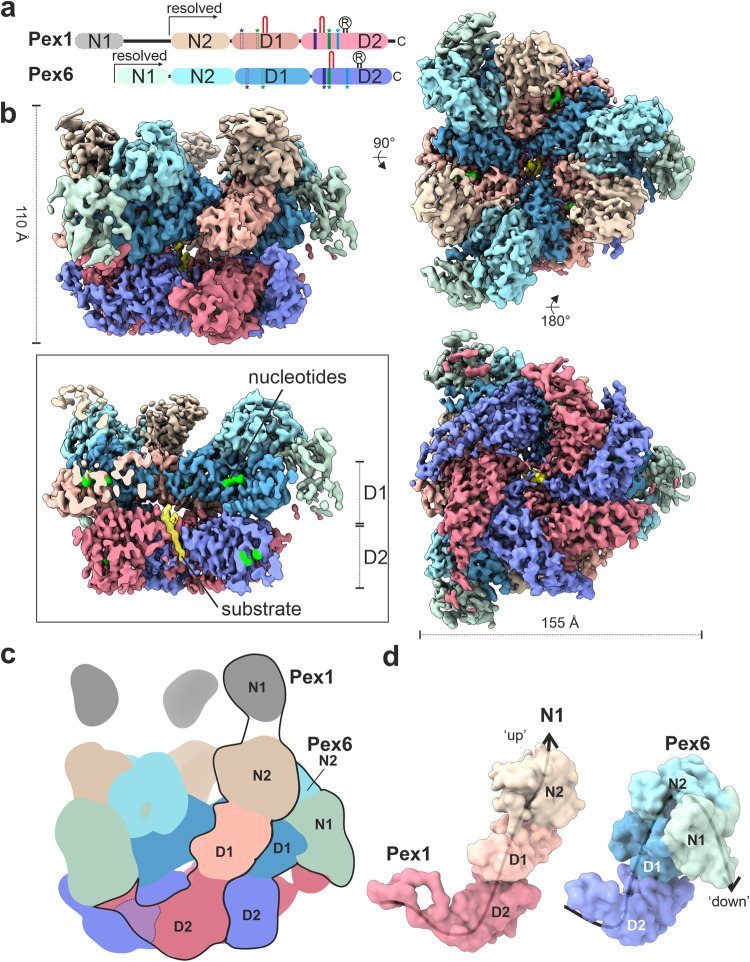 Fig. 1