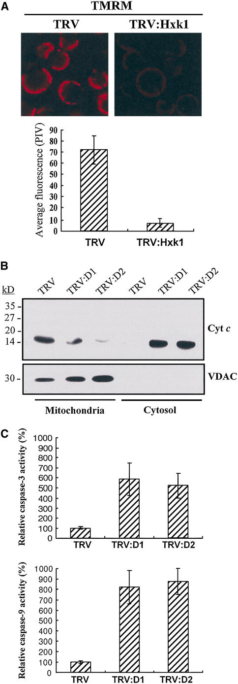 Figure 6.